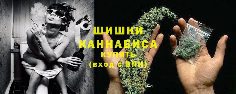 Шишки марихуана SATIVA & INDICA  как найти   Закаменск 